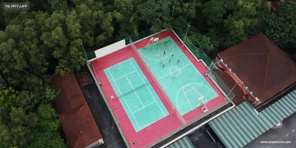 乐玩lewin——🎾网球激战！专业教练一对一，轻松掌握新技能🎯